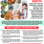 Бешенство